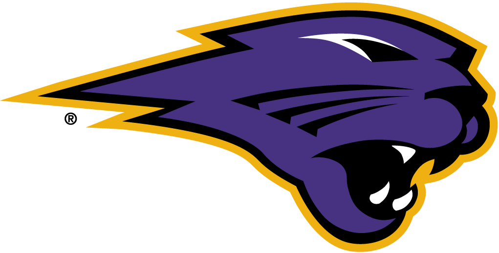 Northern Iowa Panthers 2002-Pres Partial Logo v4 iron on transfers for fabric